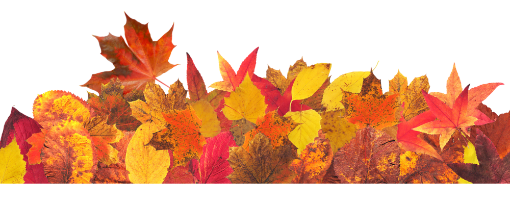 Classic Chandler Bing