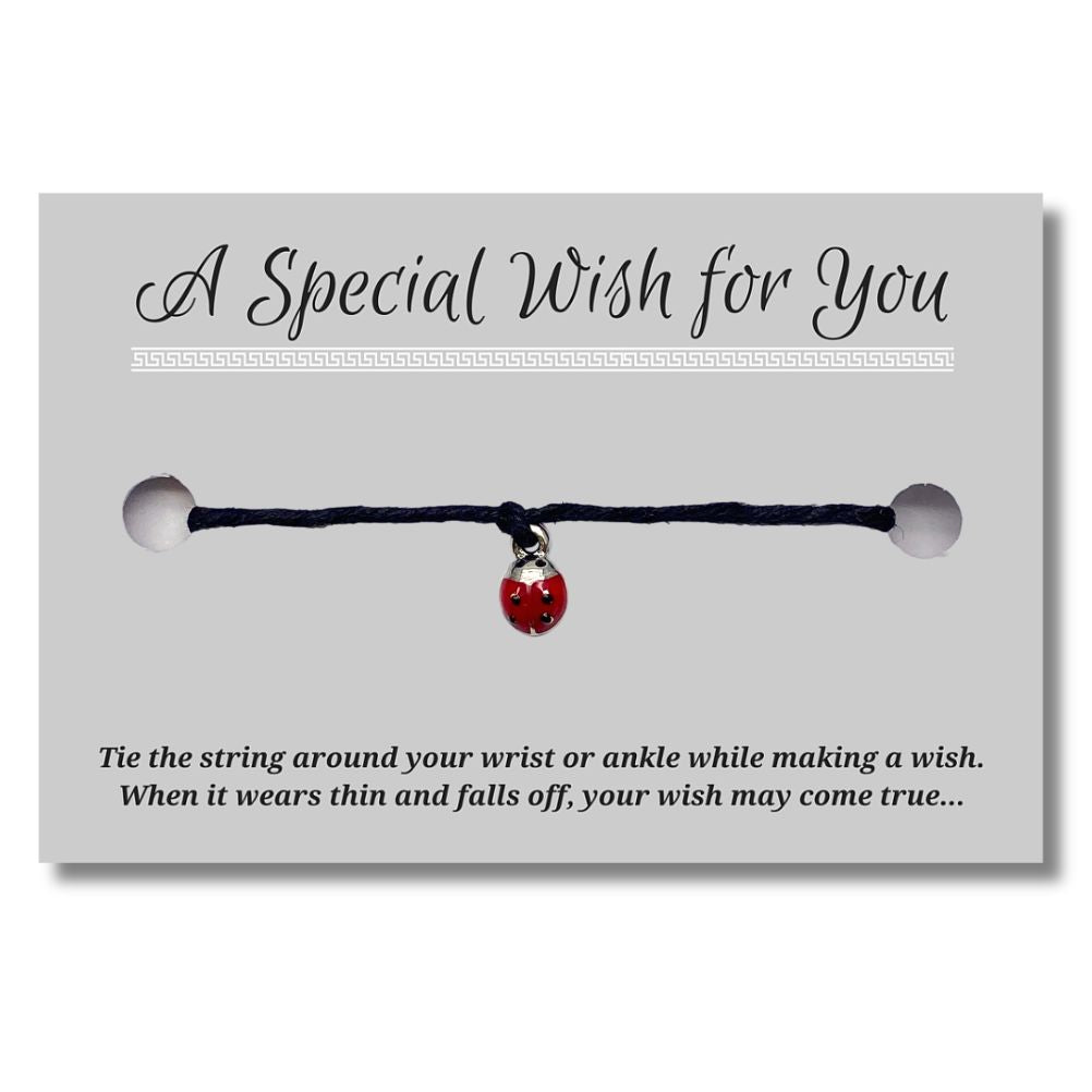 Ladybird Enamel Charm Hemp Wish Bracelet - Colour Choice