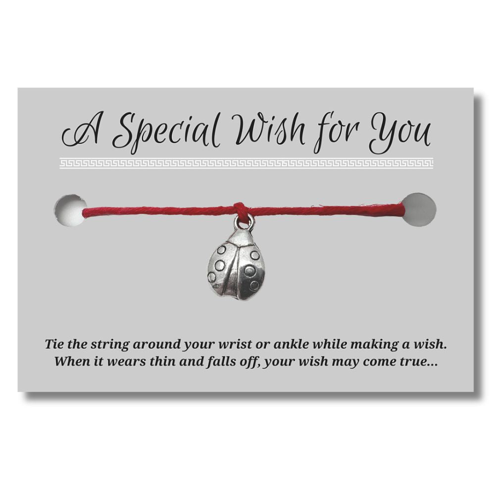 Ladybird Charm Hemp Wish Bracelet - Colour Choice